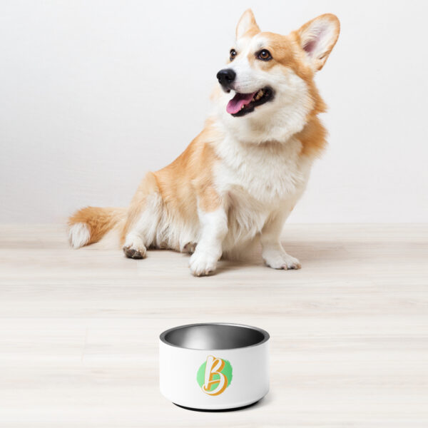Pet bowl - Image 2