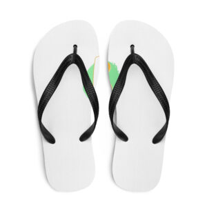 Flip-Flops